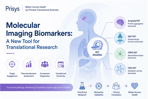 Βιοδείκτες Molecular Imaging: Advancing Translational Research and Drug Devel...