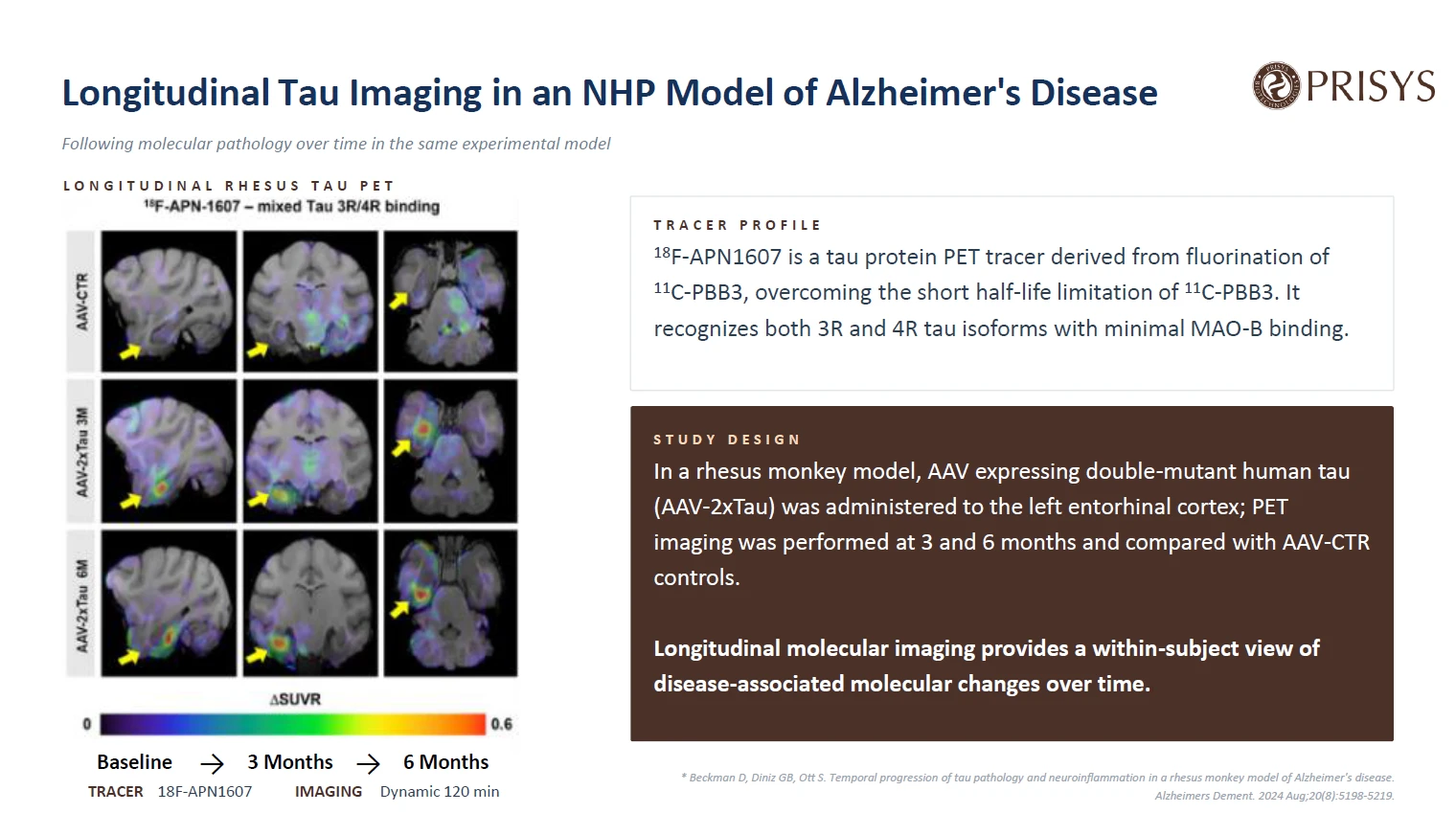 Longitudinal molecular imaging provides a within-subject view of disease-associated molecular changes over time.